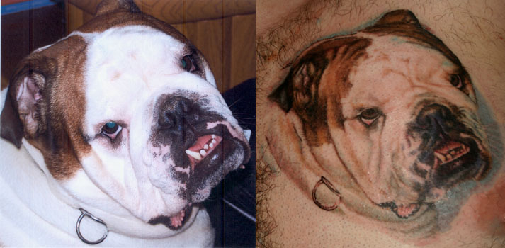 bulldog tattoo. Dan Henk - Bulldog Portrait Yo