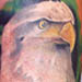 Tattoos - Eagle
 - 1714