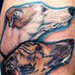 Tattoos - Dogs
 - 1721