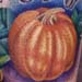 Tattoos - Pumkin - 763