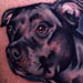 Tattoos - Doggy - 397