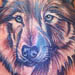 Tattoos - Wolf - 405