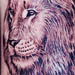 Tattoos - Heart of the Lion - 418