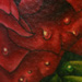 Tattoo Galleries/ - Rose (Detail)