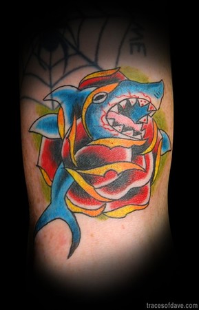 Coil Tattoo Gallery Tattoos Color Traditional Shark And Rose