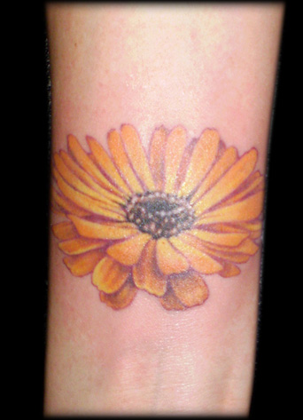 http://www.zhippo.com/EddieLovenCatTattooHOSTED/images/gallery/Wrist%20Daisy_M.jpg