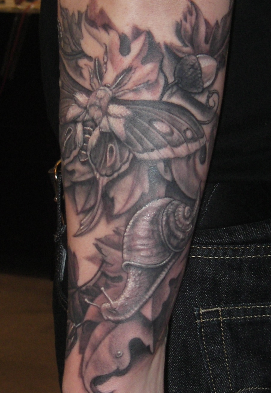 http://zhippo.com/EthanMorganTattoosHOSTED/images/gallery/butterfly-snail-tattoo.jpg