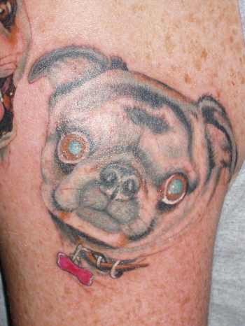 Looking for unique Realistic tattoos Tattoos Pug portrait 2