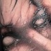 Possessed face Tattoo Design Thumbnail