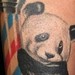 Panda on barber pole Tattoo Design Thumbnail