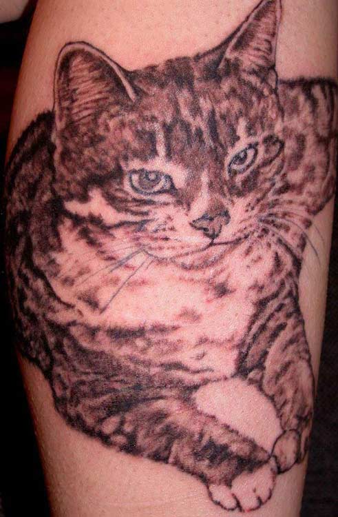 Realistic Cat Tattoo. Artist: Thea Duskin - (email) Placement: Arm