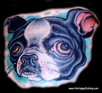 Looking for unique  Tattoos? Boston Terrier