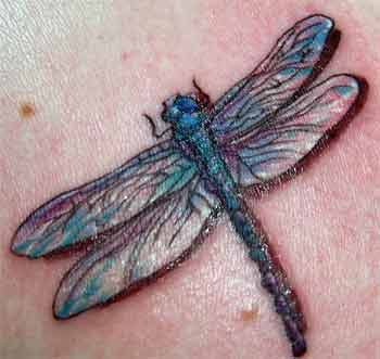 Pictures+of+dragonflies+tattoos
