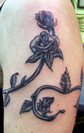 vines tattoo. Rose Vine Tattoo L1 flower