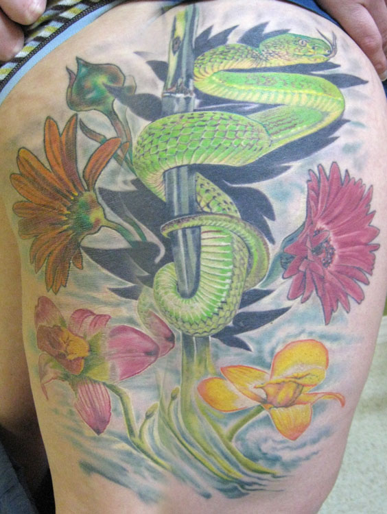 gerber daisy tattoo. Comments: Cool viper tattooed
