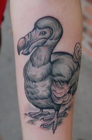 Dodo Tattoos