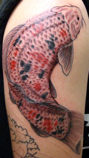 When used in tattoos, especially with running water, the koi is meant to 
