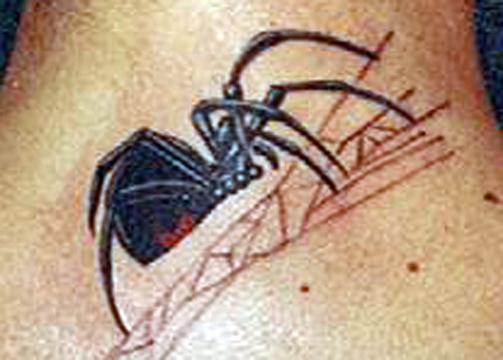 black widow spider tattoo. Black Widow Spider