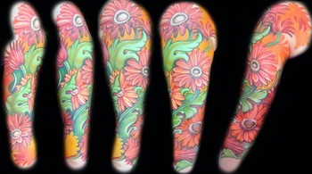 Jason Maybruck - gerber daisies