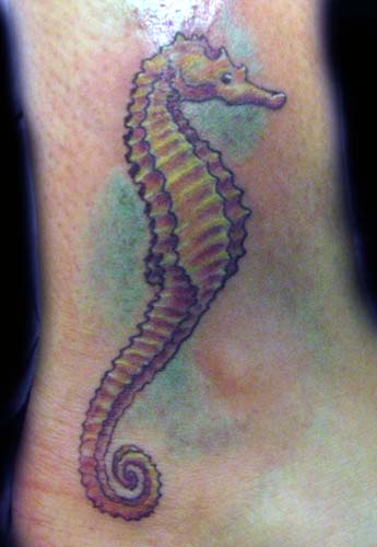 sea horse tattoos. Rivera - Seahorse Tattoo