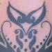 tattoo galleries/ - Decorative