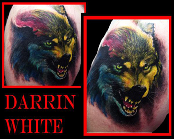 Darrin White - Wolf Portrait