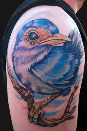 Looking for unique Katelyn Crane Tattoos? Blue Bird