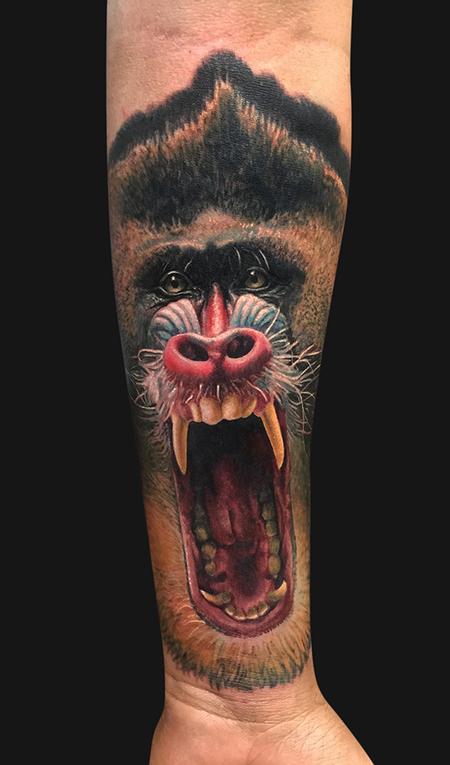 tattoos/ - Mandrill Portrait Arm Tattoo - 104289