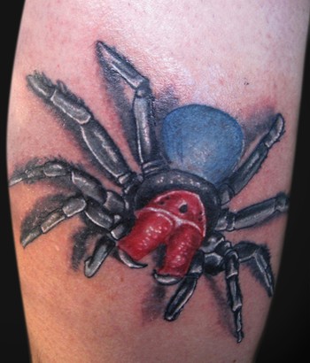 Looking For Unique Tattoos Red Headed Mouse Spider unique tattoo