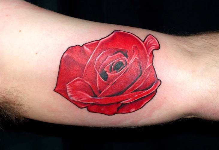 inner bicep tattoo. inner bicep tattoo. Rose on inner bicep; Rose on inner bicep. Higcoptimist