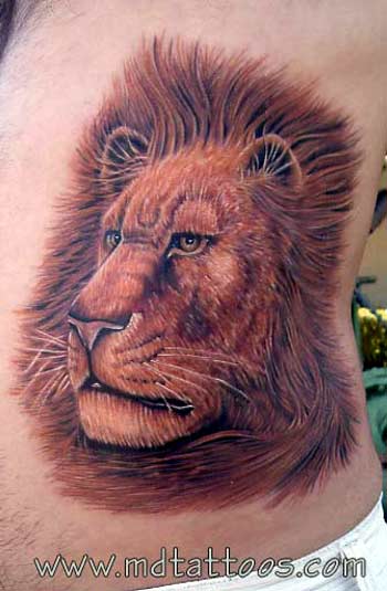 Looking for unique Nature Animal tattoos Tattoos? Lion