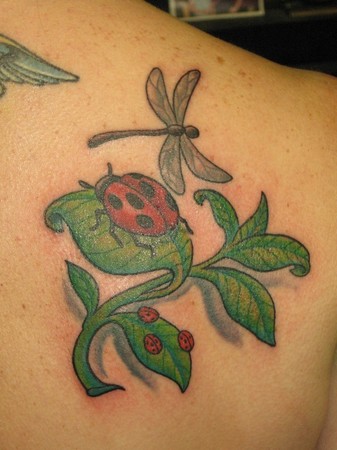 Pete Ballesty - Lady bug, Dragonfly and Stem