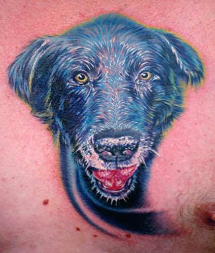 Nikko - Black lab tattoo