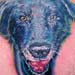 Tattoos - Black lab tattoo - 26160