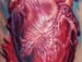 Tattoos - Photo realistic human heart - 20033