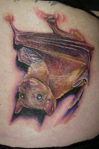 Paul Acker - Bat