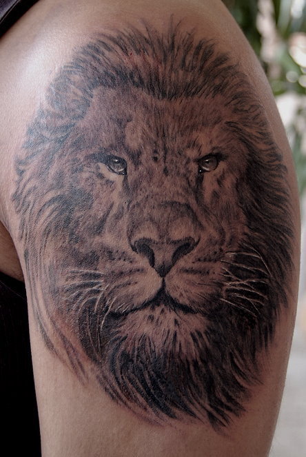 Looking for unique Wildlife tattoos Tattoos Lion click to view large image
