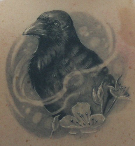 black bird tattoo. Tattoos Black and Gray