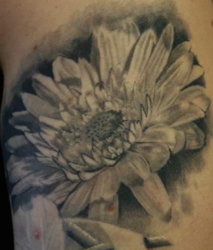 Comments: gerber daisy healed. Tattoos