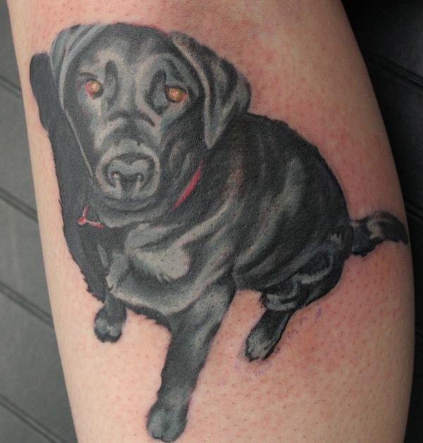 Tattoos Coverup Tattoos Dog portrait cover up