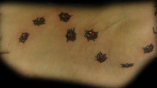 Galleries Color Tattoos Custom Nature Animal Ladybug