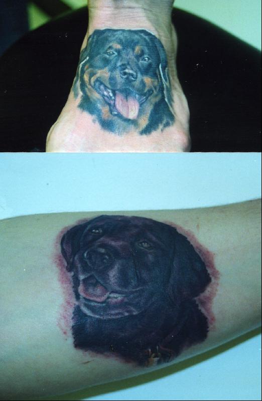 tattoos of dogs. Nature Animal Dog Tattoos