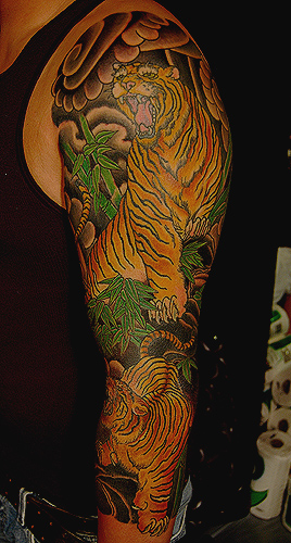 Dana Helmuth two tiger sleeve with clouds rocks and bamboo
