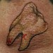 Tattoos - Toof - 37433