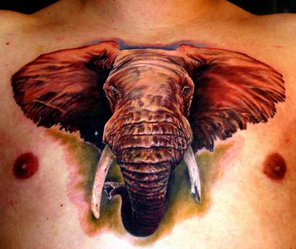 (Stefano - Elephant Tattoo). elephant tattoos pics