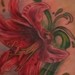 Tattoos - Hibiscus Flower with Vines and Filigree Tattoo - 39516