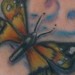 Tattoos - Butterfly on Foot - 36215