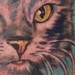 Tattoos - Portrait of Her Cat - 38222