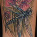 Tattoos - dragonfly and orchid - 30479