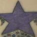 Tattoos - Super Star! - 21376